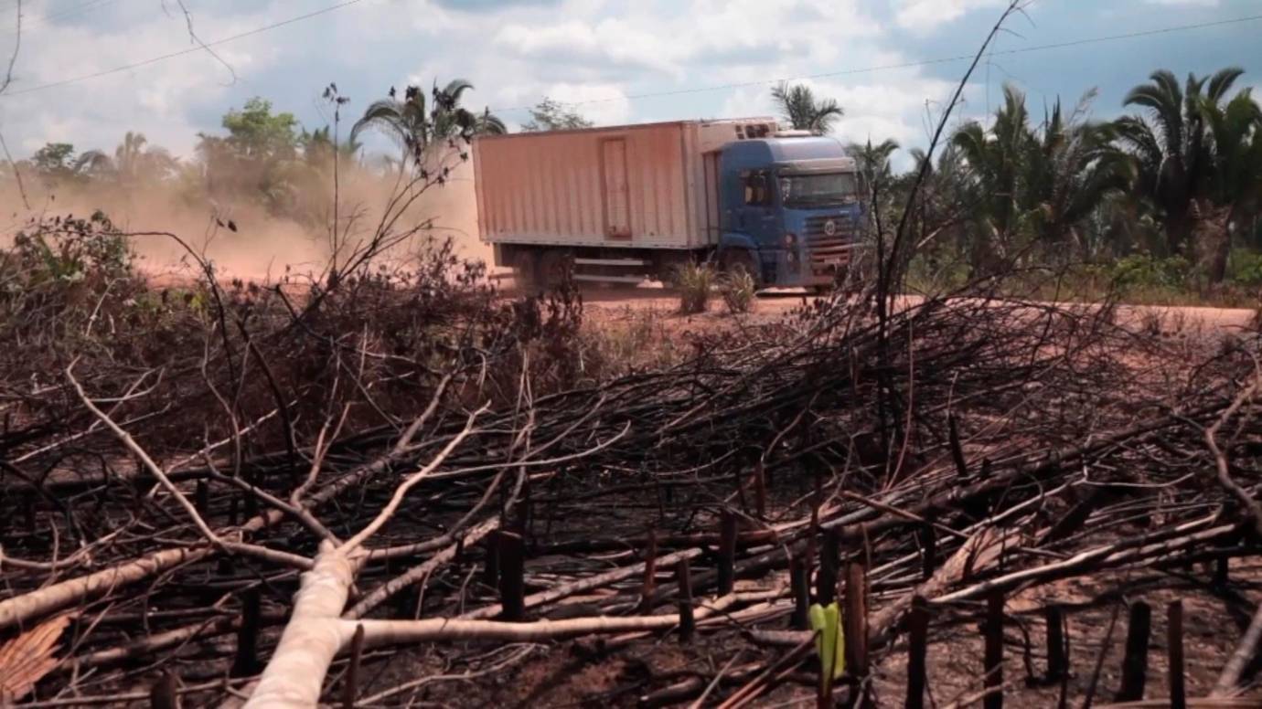La vía permitiría a los madereros ilegales y acaparadores de tierras acceder fácilmente a áreas remotas y relativamente vírgenes del bosque. Foto: AFP