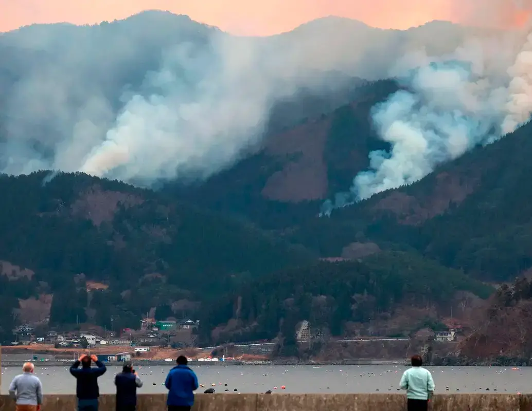En algunos ecosistemas, los incendios naturales favorecen la regeneración del paisaje y permiten que especies únicas emerjan tras el fuego. FOTO AFP