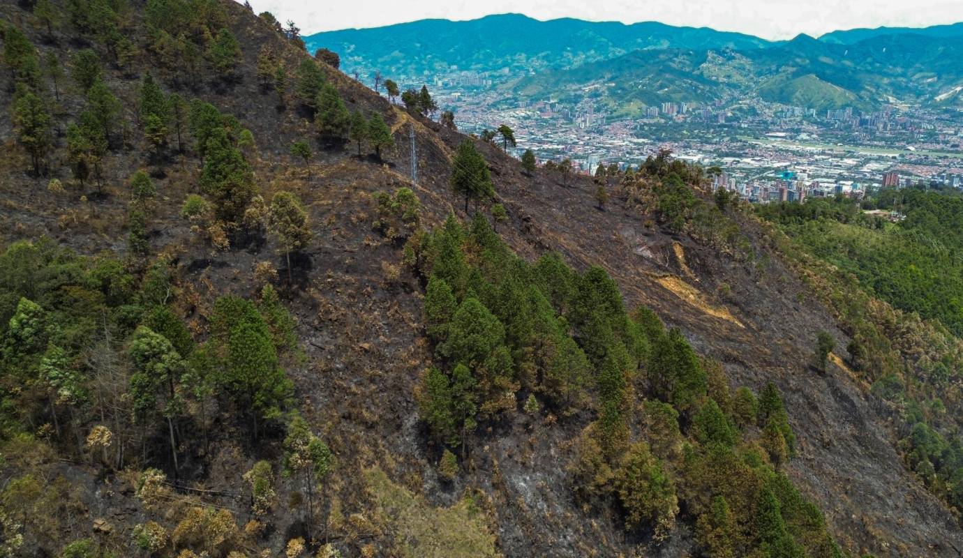 Unas 60 hectáreas de bosque consumidas durante los dos días y medio que duró el incendio forestal en las montañas del Seminario Mayor y del Túnel de Oriente, en Medellín. Foto: Manuel Saldarriaga Quintero