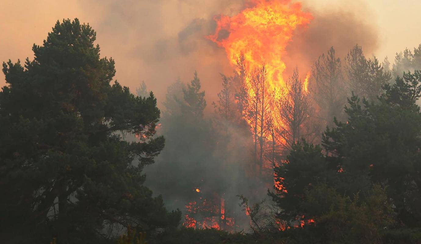 El incendio forestal que estalló ayer en una zona de pasto en el distrito de Kizilcahamam de Ankara en Turquía, ya se extendió a una zona forestal en el distrito de Gerede de Bolu. Foto GETTY