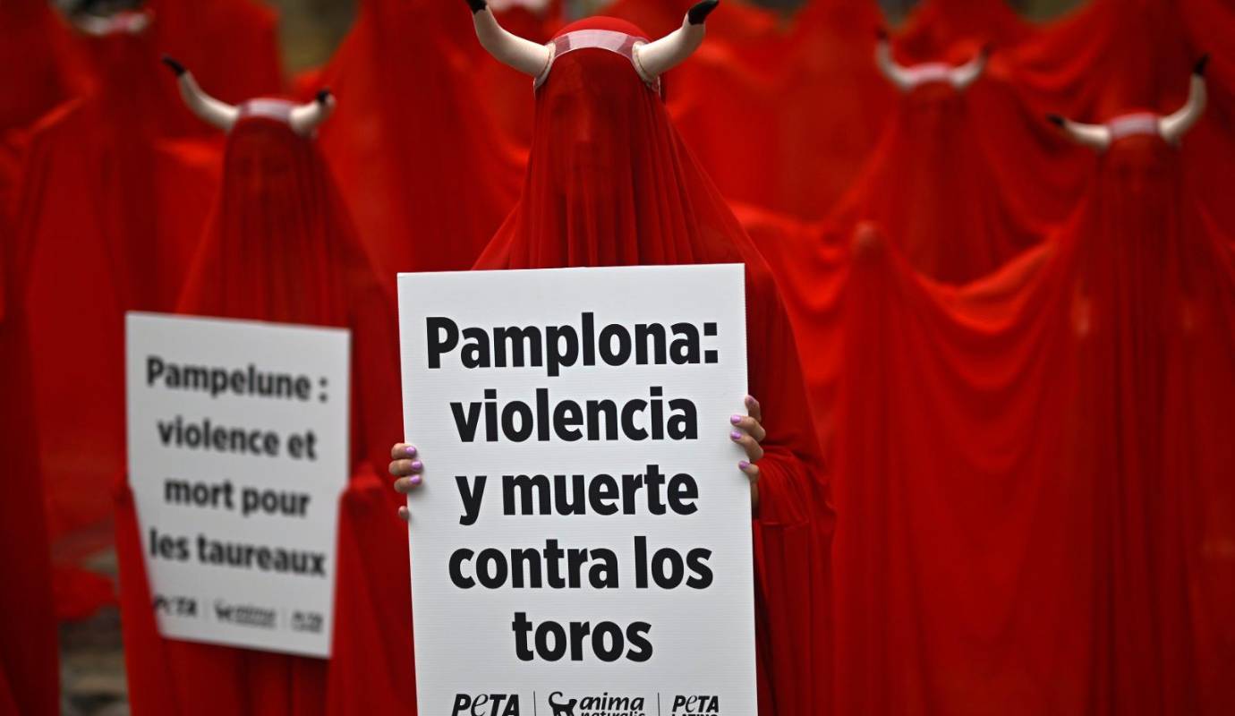 Los colectivos que denuncian el maltrato animal durante las fiestas, señalan que “esa no es la cultura que queremos, ese no es el sentido de las fiestas”. Foto : Getty