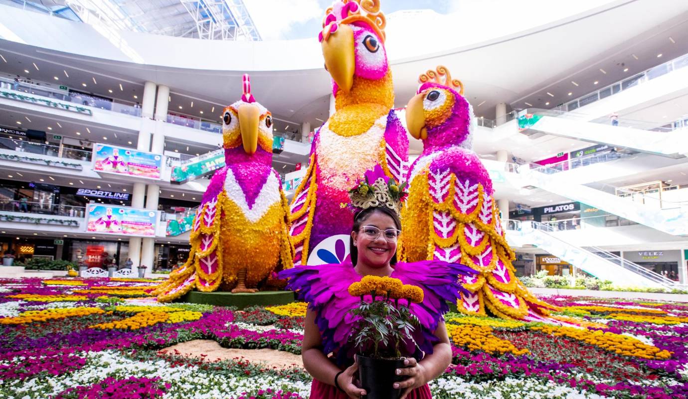 “La figura más grande mide 14 metros de altura, la más alta que hemos tenido en la historia (antes hubo un pavo de 12 metros), mientras que los otros dos miden nueve y ocho metros de altura”, explica María Fernanda Bertel Puyo, Gerente General del Centro Comercial Santafé Medellín. Foto: Jaime Pérez