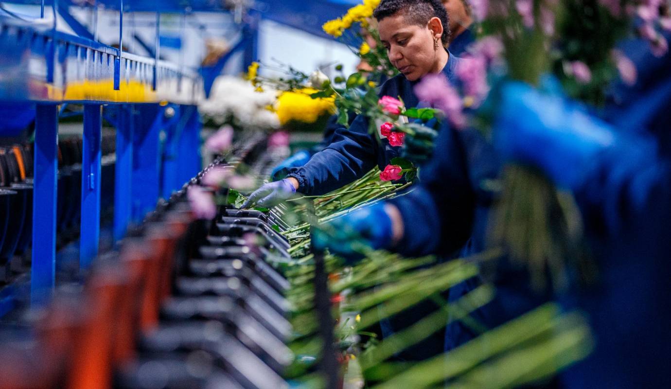 Todos los empleados con los que El Colombiano pudo hablar afirman: el ambiente laboral es excelente y nos tratan con mucho respeto y nos valoran. Foto: Camilo Suárez Echeverry