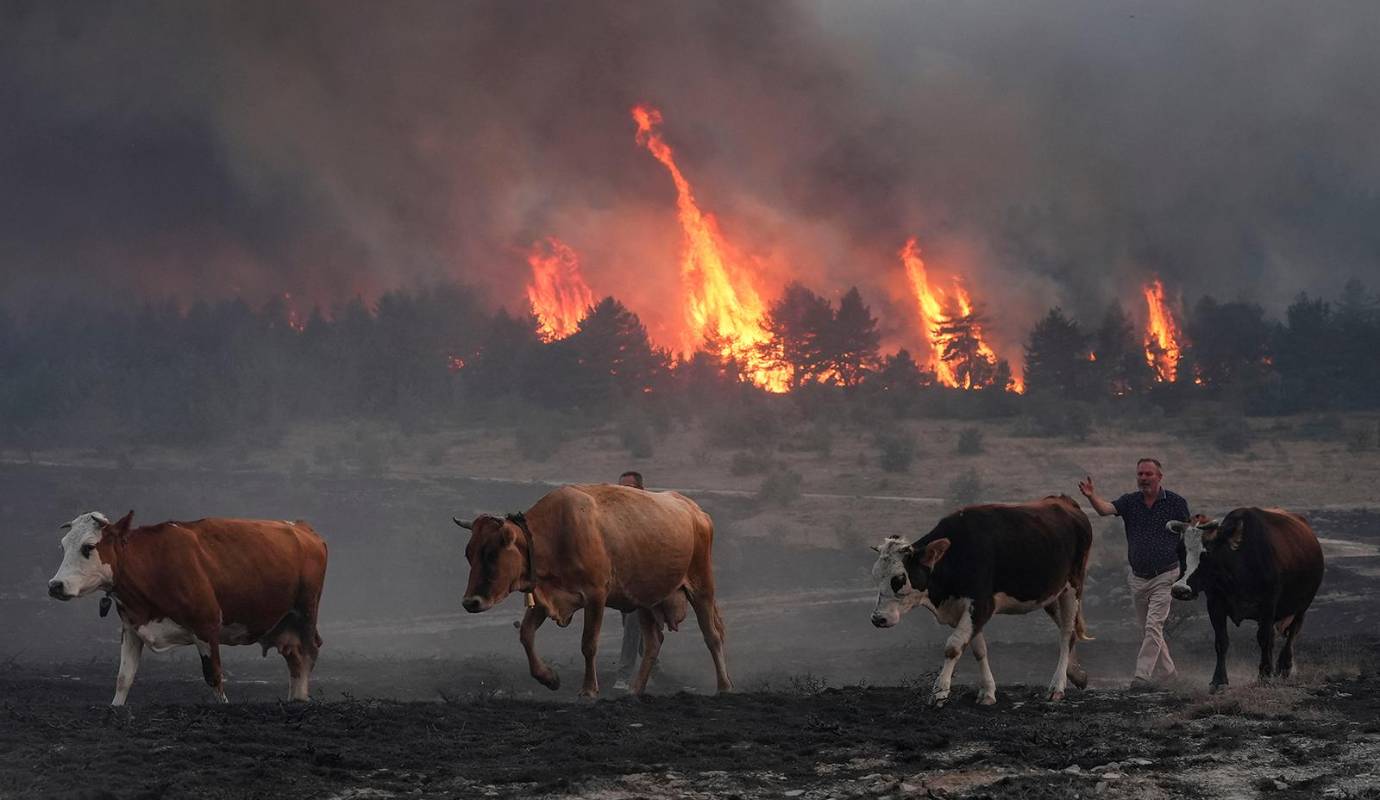 Turquía enfrenta una grave emergencia tras el estallido de un gigantesco incendio forestal en el distrito de Kizilcahamam, en Ankara. Foto GETTY