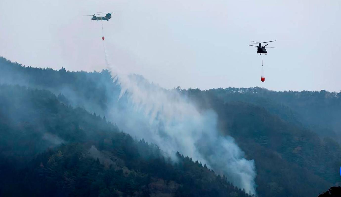 El incendio, que se desató el pasado miércoles 26 de febrero se ha convertido en el más grande en Japón desde 1975, cuando ardieron 2.700 hectáreas en Kushiro, en la isla de Hokkaido. Según informó la agencia de manejo de desastres. Foto: AFP