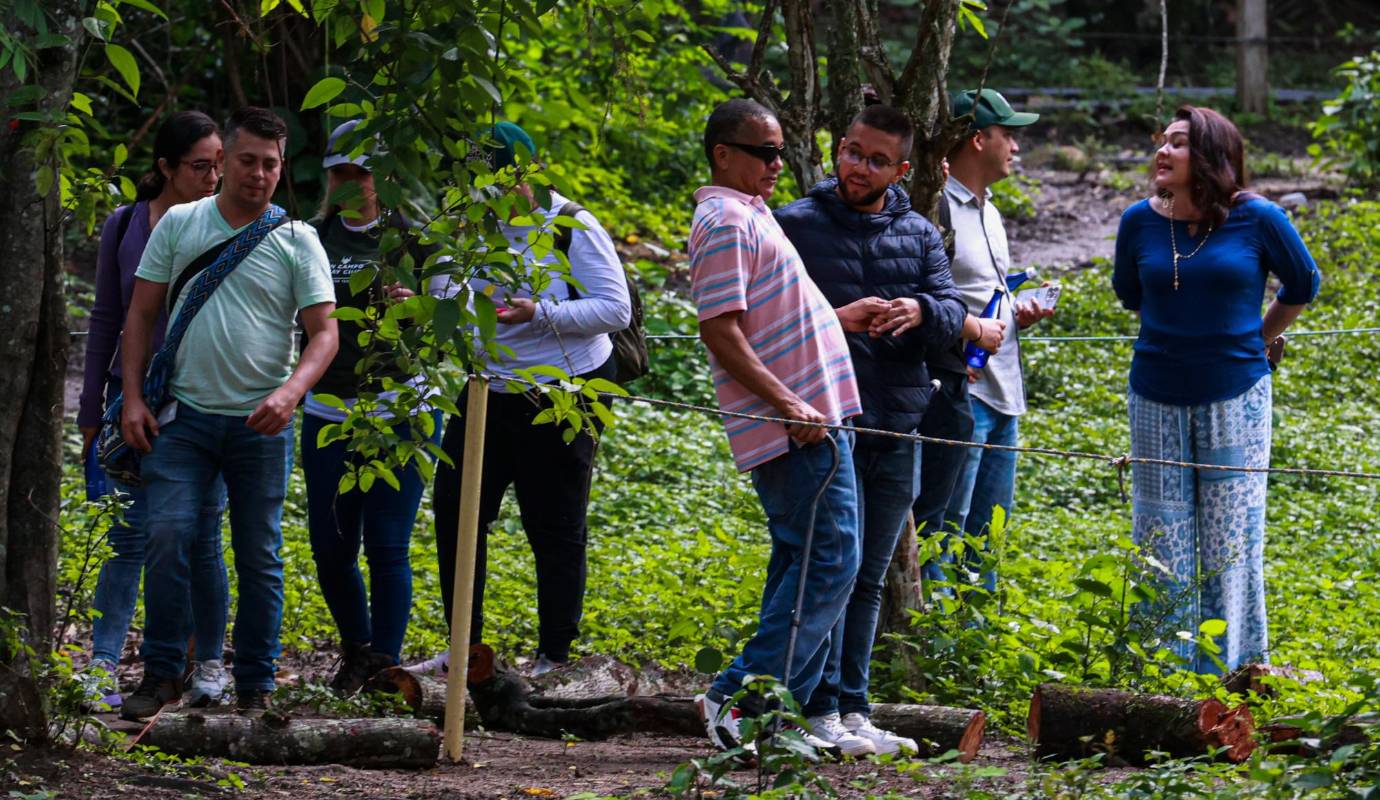 En cada estación, los guías especializados describen en detalle lo que se encuentra a su alrededor. Las personas ciegas pueden tocar hojas, cortezas y flores, oler los diferentes aromas de las plantas y escuchar el canto de las aves, creando una imagen mental vívida y enriquecedora del entorno natural. Foto: Manuel Saldarriagas Quintero.