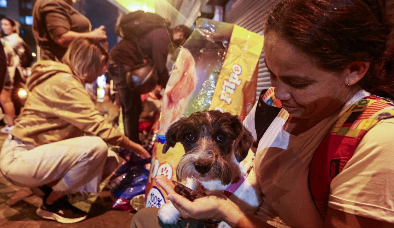 Manejo de Fauna Callejera se enfoca en hacer esterilizaciones gratuitas para animales en situación de calle y ayuda a familias de bajos recursos por todo Colombia. Foto: Manuel Saldarriaga Quintero.