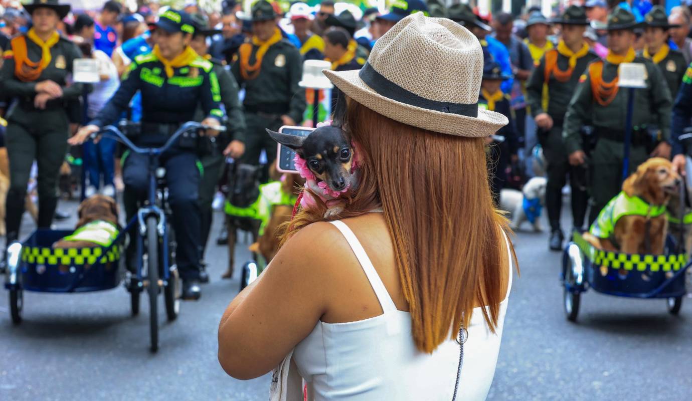 La Caminata Canina y de Mascotas Tierragro, es un espectáculo único en el mundo, que nació hace 24 años en Medellín, en el marco de la tradicional Feria de Flores. Foto: Manuel Saldarriaga Quintero