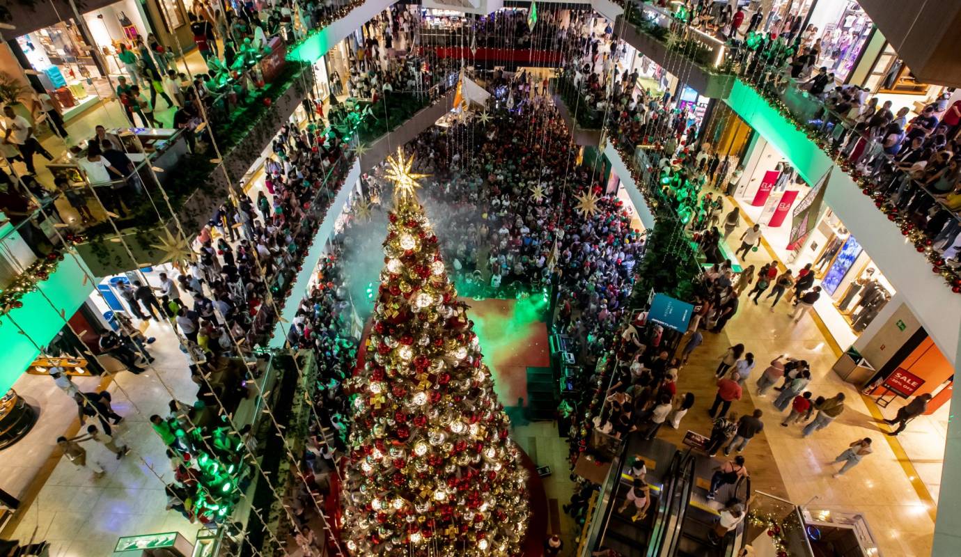 El centro Comercial Arkadia le dio la bienvenida a la Navidad el pasado sábado 11 de noviembre con el encendido de las luces de su gigantesco árbol navideño y con un show lleno de magia. Foto: Jaime Pérez