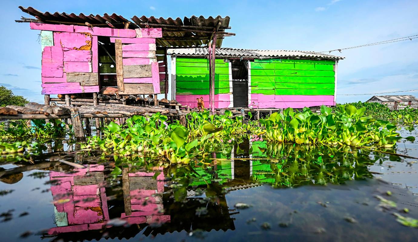 Esta invasión amenaza no solo la economía local, basada casi por completo en la pesca artesanal, sino también la seguridad alimentaria de las familias que habitan en el pueblo. Foto: AFP