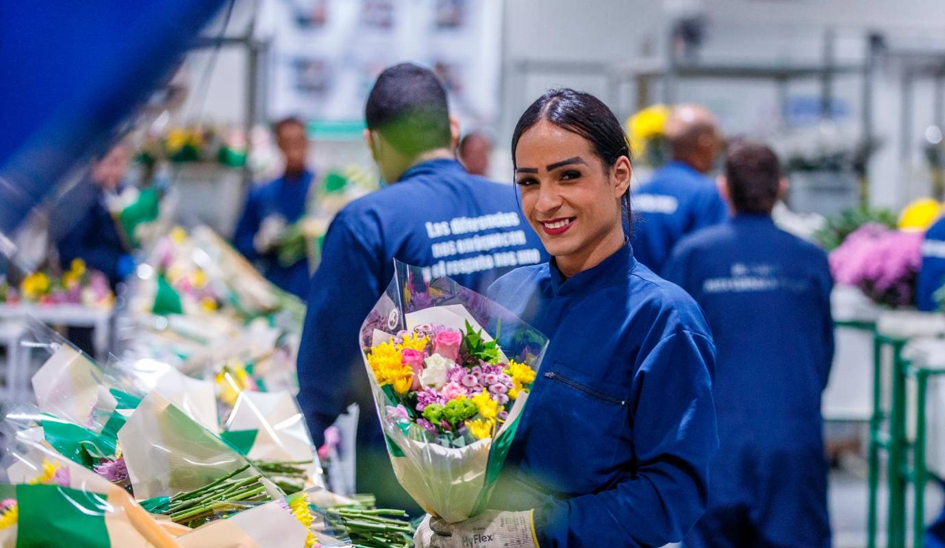 Flores Isabelita, es una empresa floricultora de La Ceja que le apuesta a la inclusión de población diversa generalmente marginada por el sistema laboral tradicional. Foto: Camilo Suárez Echeverry