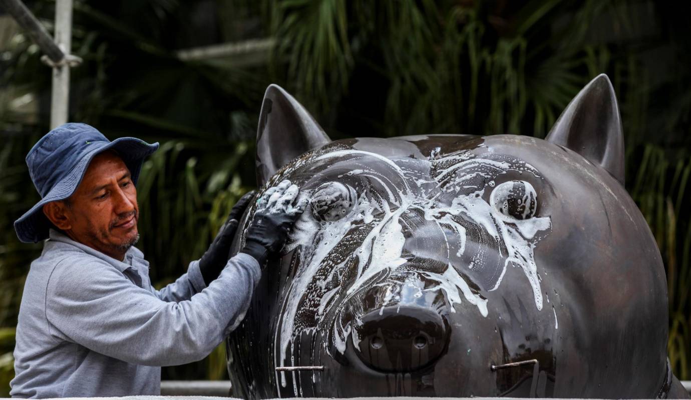 Las emblemáticas obras de Fernando Botero que adornan la Plaza Botero en Medellín están recibiendo un cuidado integral. Foto: Julio César Herrera