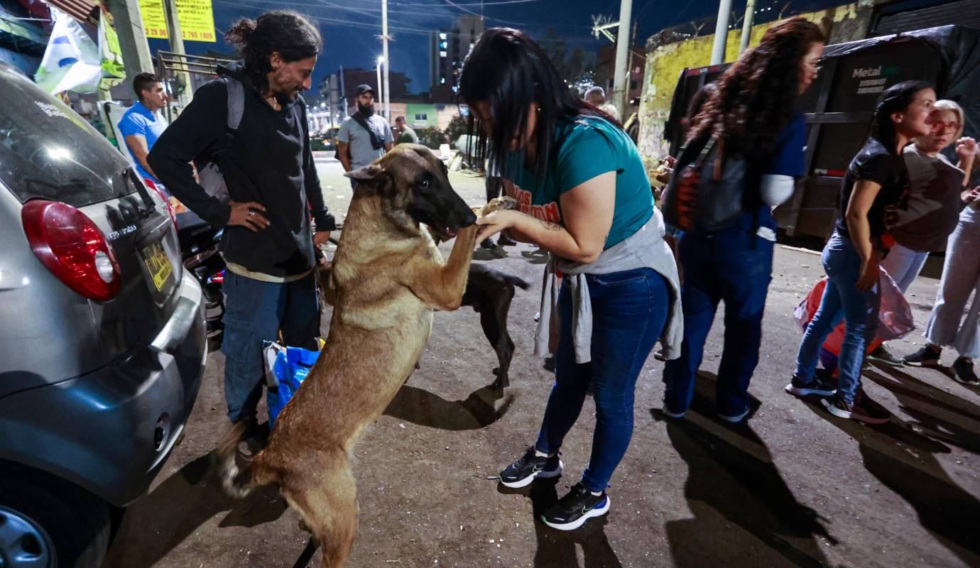 Llevan ya 10 años, saliendo cada jueves. Se encuentran en la estación Prado del Metro, ahí llegan algunos perros con sus dueños, y los voluntarios de la fundación empiezan a empacar los 90 kilos de concentrado para perros y los 16 de concentrado para gatos en bolsas, como de un kilo cada una, y las van repartiendo, de a tres a cada uno. Foto: Manuel Saldarriaga Quintero.
