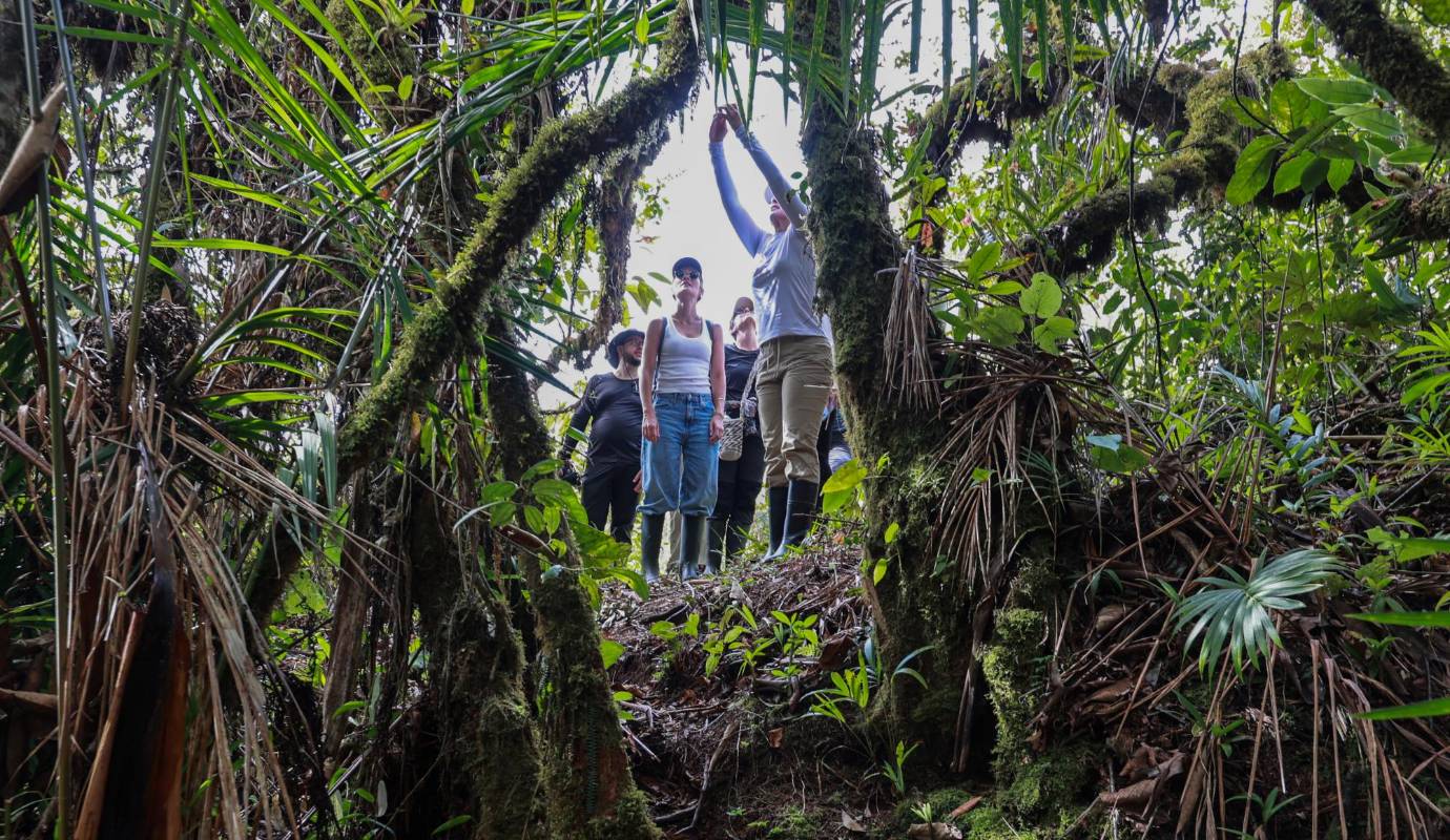 Asimismo, como en el caso de El Globo, generan ingresos para dueños, poseedores o tenedores de predios con vocación de conservación; y empleos directos e indirectos para las comunidades locales. Foto: Manuel Saldarriaga Quintero.