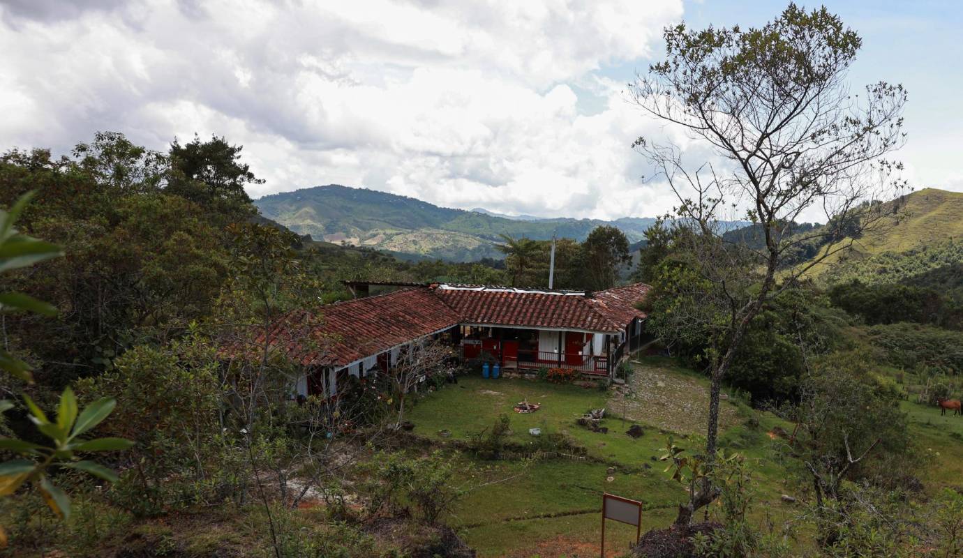  A eso se dedicó por más de 30 años, hasta que la entonces guerrilla de las Farc lo desplazó a él y a su familia del lugar. Foto: Manuel Saldarriaga Quintero.
