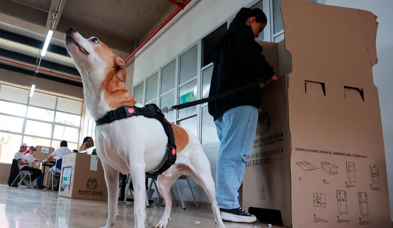 Si bien, la Registraduría Nacional del Estado Civil no tiene ninguna prohibición que le impida a los ciudadanos ir con sus mascotas a votar, sí han publicado una recomendación de prudencia, que solicita a las personas, en la medida de lo posible evitar llevar a sus mascotas. Foto: Manuel Saldarriaga Quintero