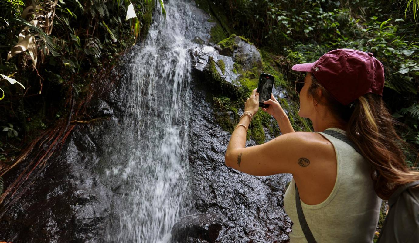 Allí también se encuentran 16 nacimientos de agua y cinco hectáreas de humedales que contribuyen a la regulación hídrica y climática de la Provincia del Cartama. Foto: Manuel Saldarriaga Quintero.
