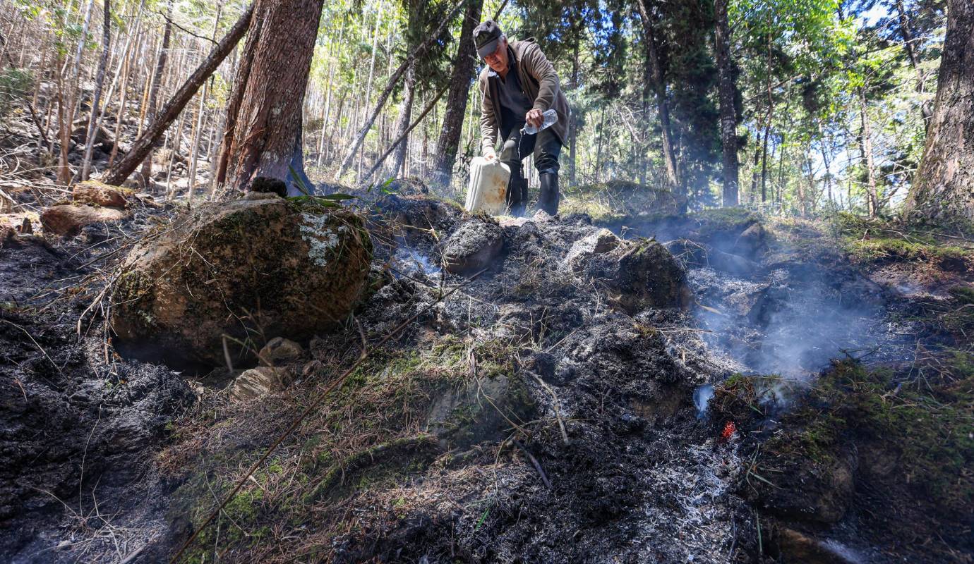 Unas 60 hectáreas de bosque consumidas durante los dos días y medio que duró el incendio forestal en las montañas del Seminario Mayor y del Túnel de Oriente, en Medellín. Foto: Manuel Saldarriaga Quintero