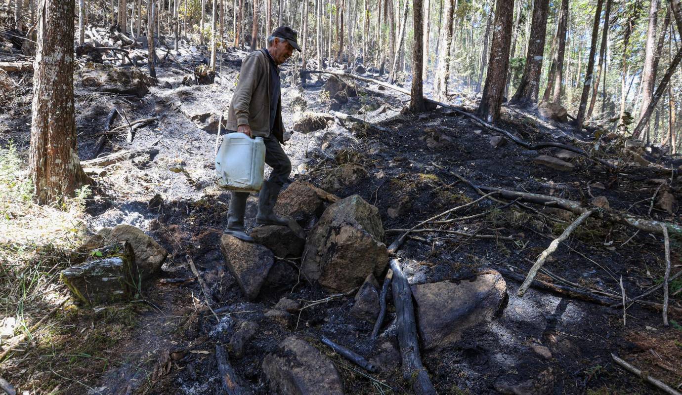La zona, detallaron las autoridades, seguirá bajo monitoreo constante porque las altas temperaturas mantienen latente la posibilidad de que el fuego se reviva. Foto: Manuel Saldarriaga Quintero