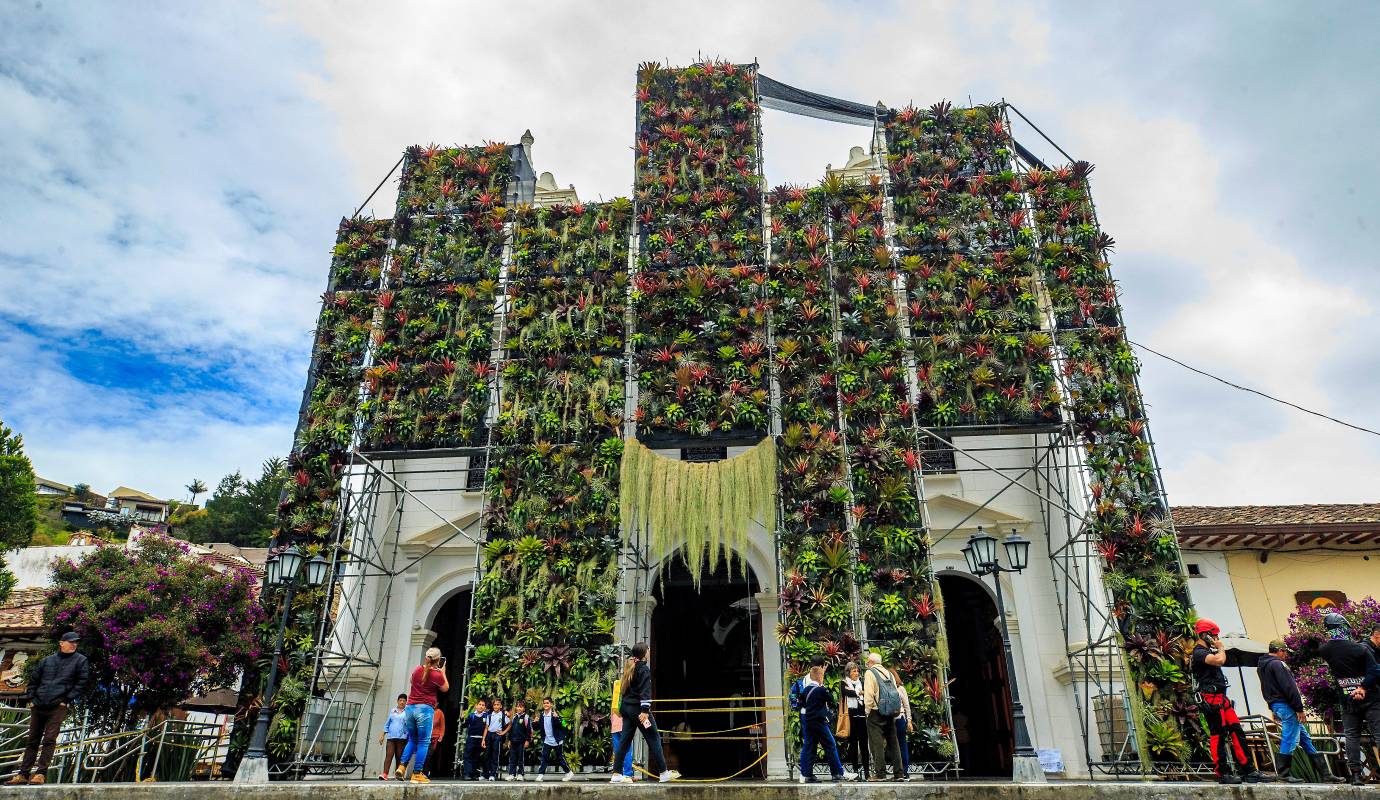 El artista botánico japonés Azuma Makoto creó una instalación floral monumental con más de 2,500 bromelias en la iglesia de El Retiro, Antioquia, para la Bienal Internacional de Arte de Antioquia y Medellín (BIAM). Foto: Camilo Suárez