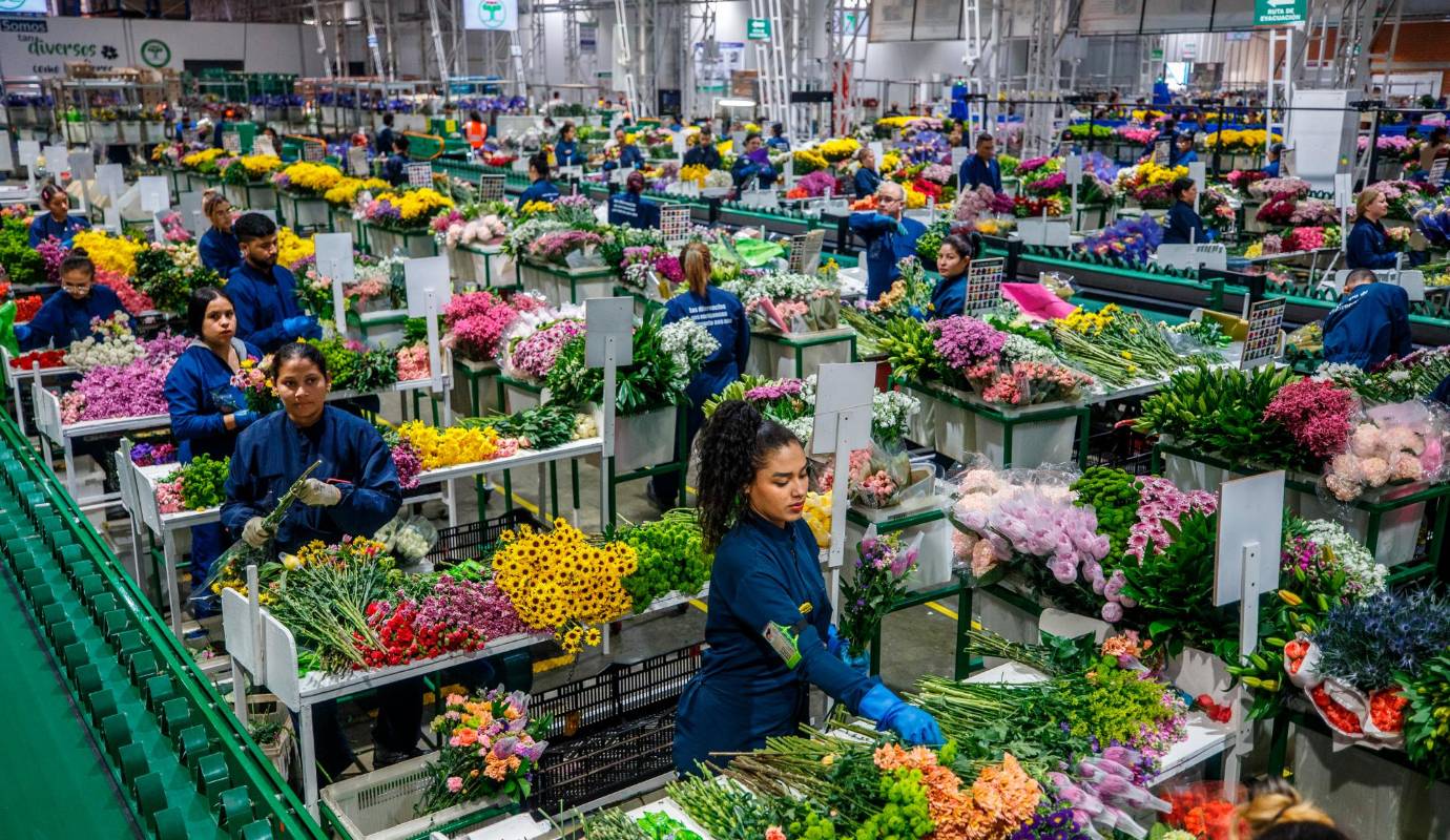 Este programa no solo nos permite visibilizar estos talentos que han sido vulnerados, sino que también permite construir un tejido social en el que ellos se sientan aceptados e incluidos. Foto: Camilo Suárez Echeverry