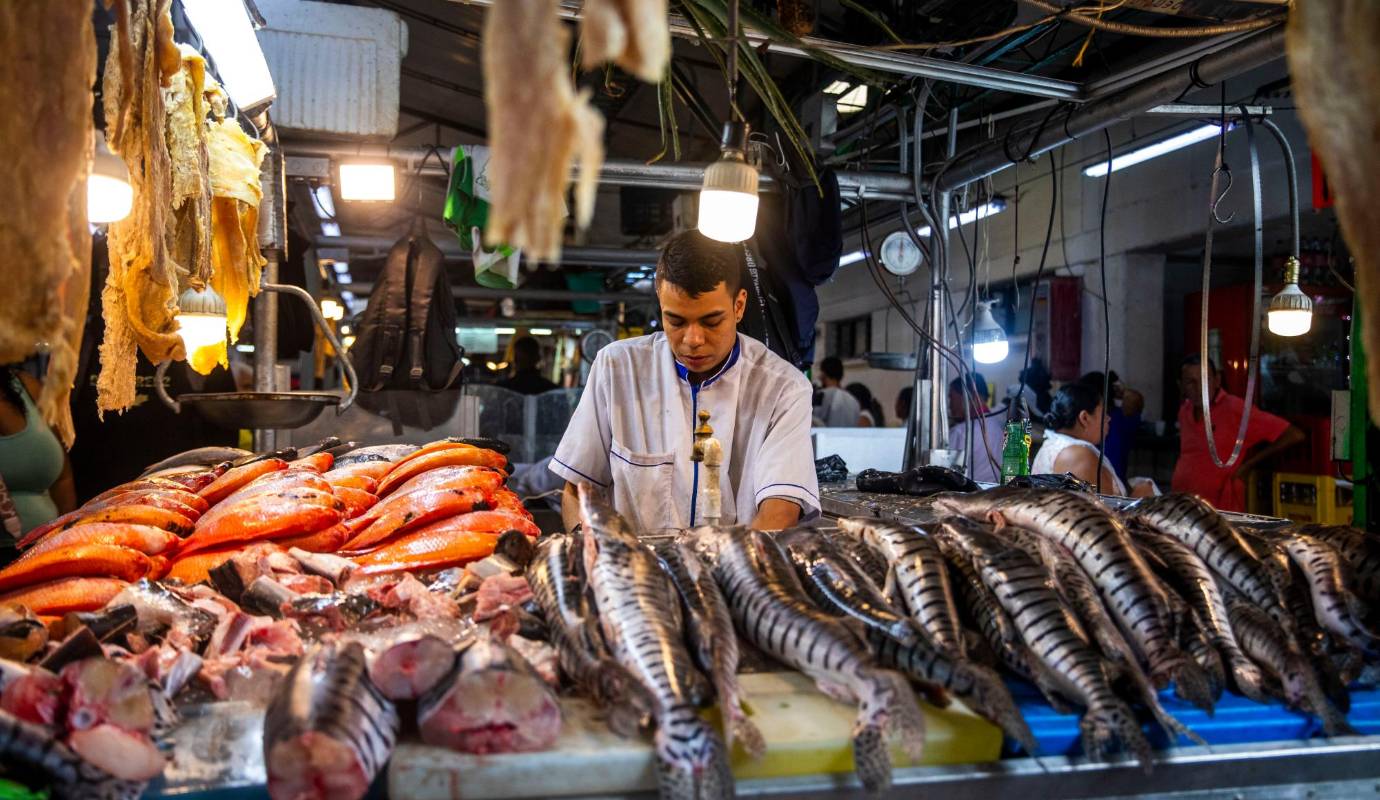 Todavía en Colombia el consumo de pescado es muy bajo, pues está en 9,5 kilos anuales; mientras en el mundo es de 21 kilos. Foto: Carlos Velásquez