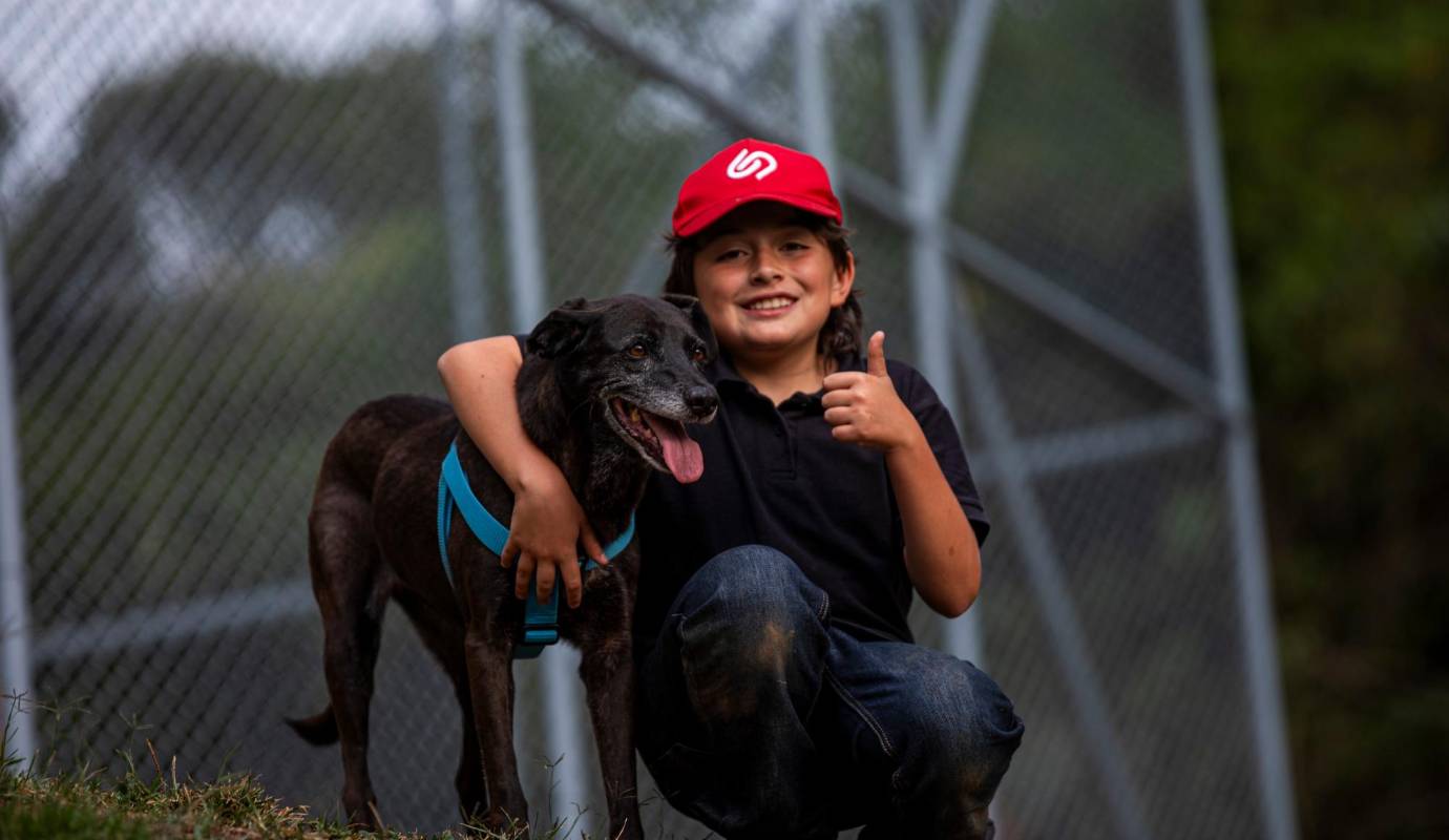 Pantera, una perrita criolla de unos 13 años, que llegó a La Perla en 2014. Desde ese momento pasaron casi 10 años hasta que encontró una familia. Foto: Carlos Velásquez