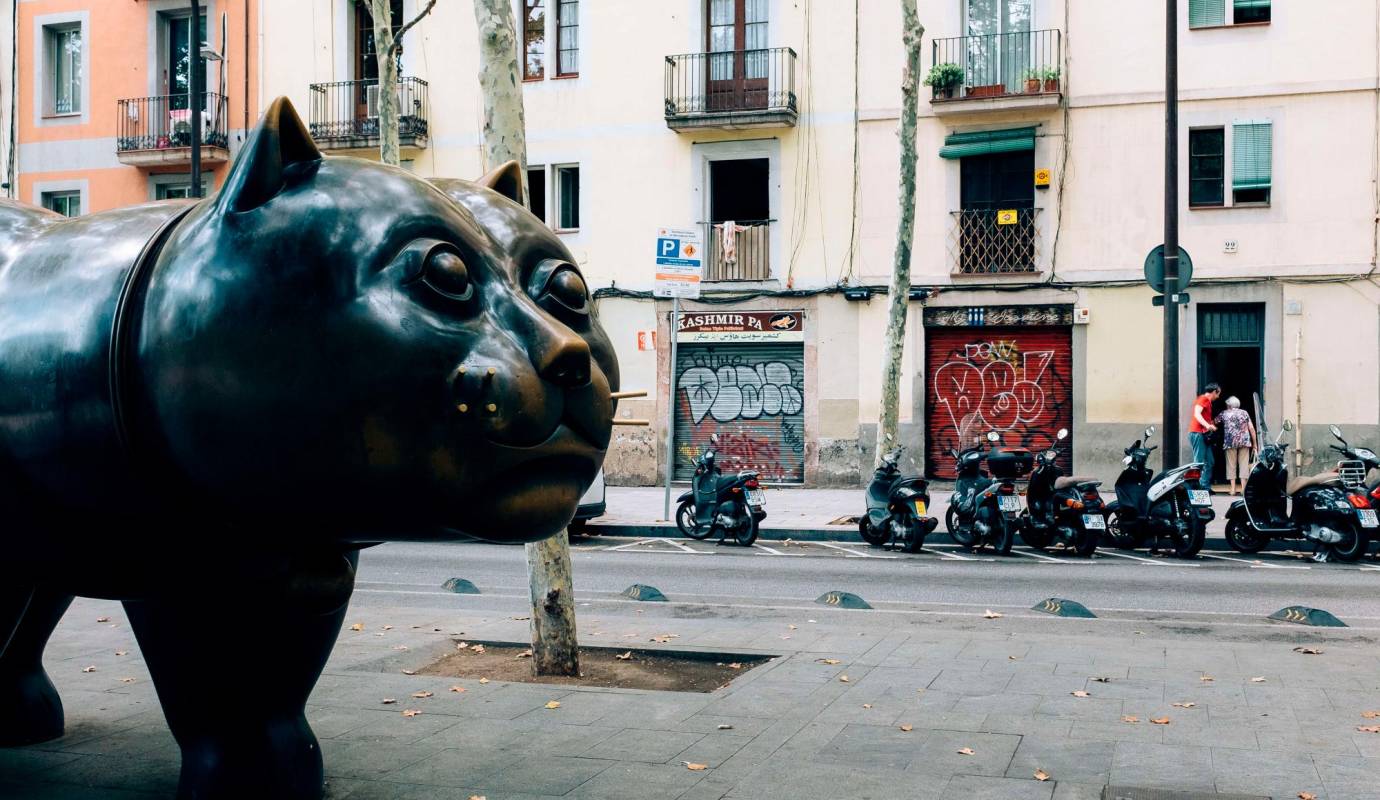 La escultura el Gato del Raval durante la exposición en Barcelona, España en 2017. Foto: Getty