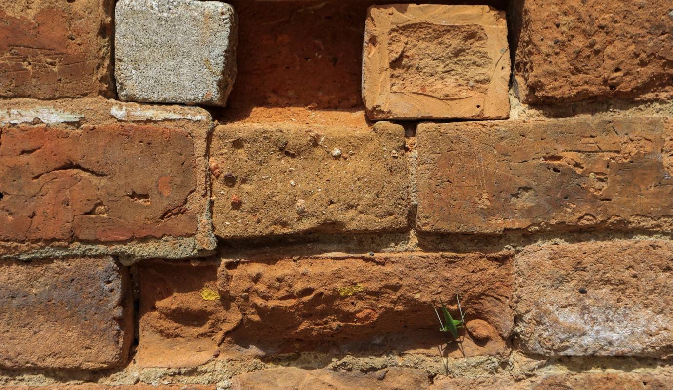 Los ladrones no solo desvalijan a la Catedral de sus cimientos, sino también de otros elementos incluso a plena luz del día. Foto: Manuel Saldarriaga Quintero.