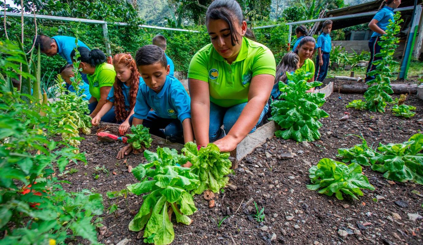 La intención es que las Ecoescuelas se fortalezcan por el bienestar de la población, por la construcción de comunidades resilientes con capacidad de adaptacion y cuidado por el planeta. Foto: Esneyder Gutiérrez 