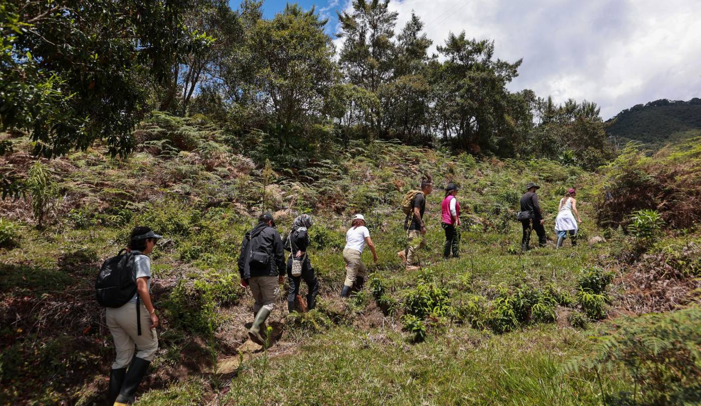La historia se remonta a los años 80’s, cuando don Abraham adquiere, en la parte alta de Támesis (Antioquia), ubicado en el área de influencia del Distrito de Manejo Integrado (DMI) Cuchilla Jardín-Támesis, un terreno para arrancar un proyecto ganadero, el cual nombró El Globo. Foto: Manuel Saldarriaga Quintero.