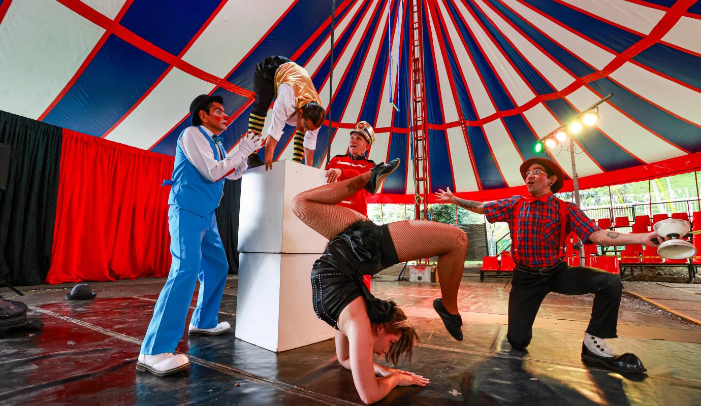 El Circo Medellín está de estreno. Gracias al apoyo de la comunidad y la empresa privada, la emblemática compañía circense inauguró este fin de semana su nueva carpa, ubicada en la base del Cerro Nutibara, en el corazón de la ciudad. Foto: Manuel Saldarriaga Quintero.