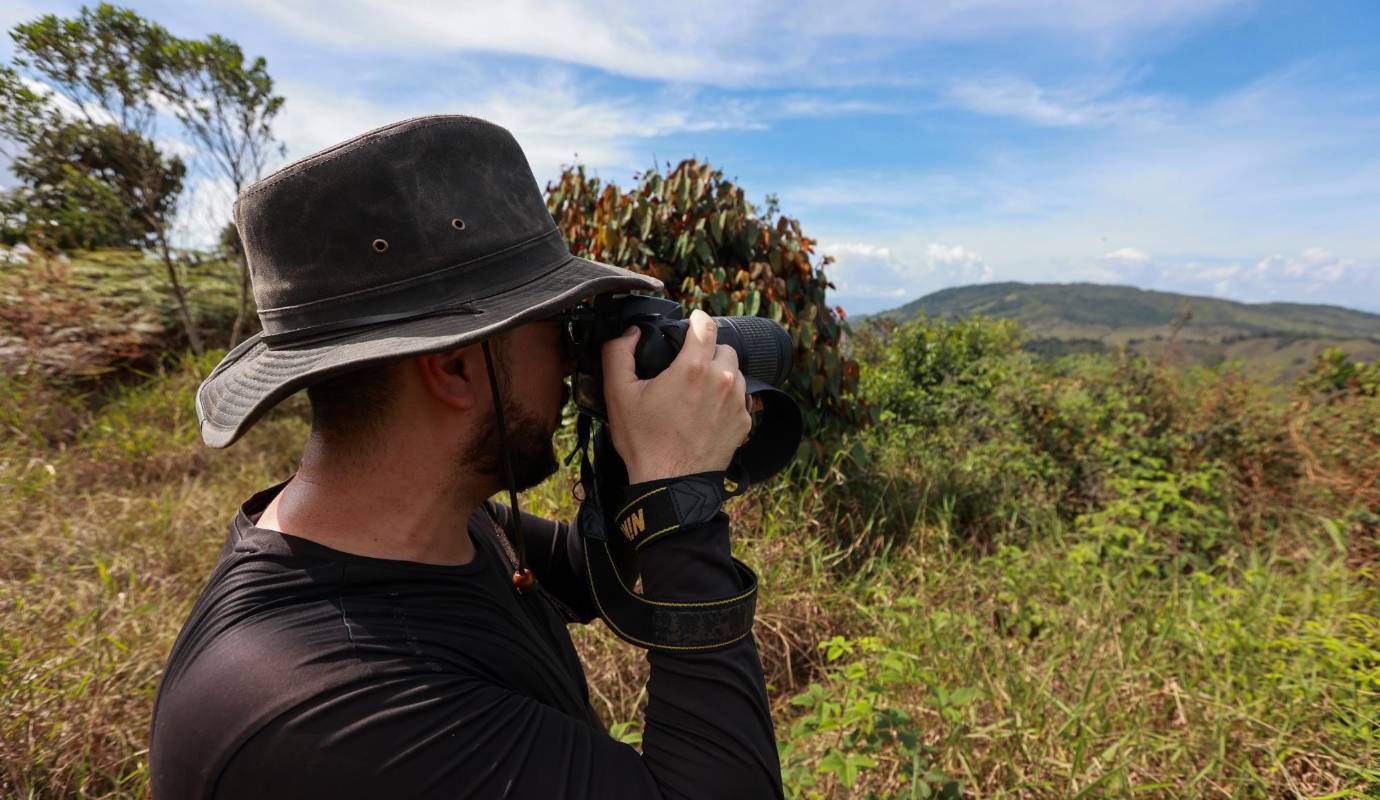 Nadie pensaría que un terreno que antes fue talado, y en el que solo se veían pastos secos y huellas de ganado, se transformaría en un territorio de conservación y restauración de ecosistemas, refugio de fauna y flora. Foto: Manuel Saldarriaga Quintero.