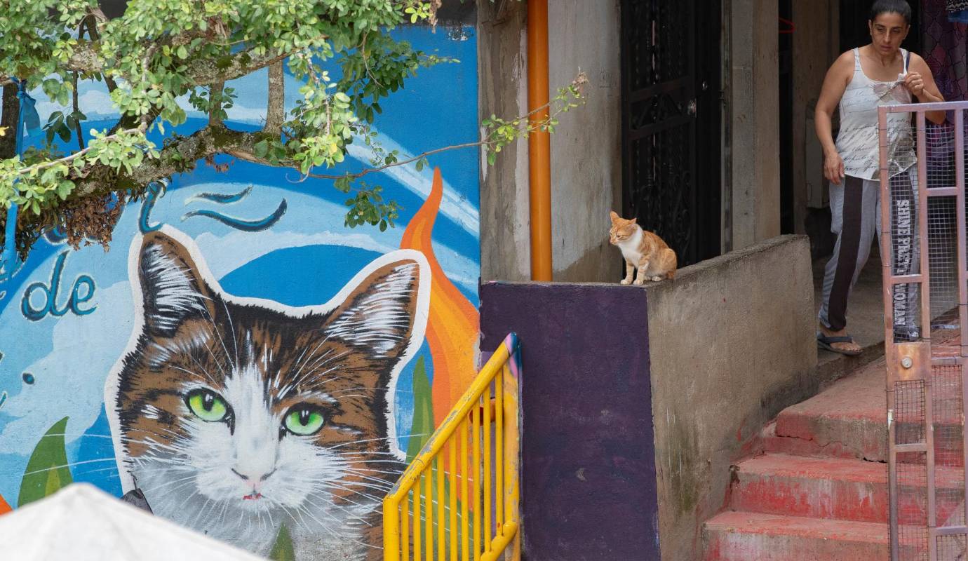 La renovación del museo ha sido un esfuerzo colaborativo, con artistas locales y miembros de la comunidad trabajando juntos para crear los nuevos murales. Este proceso participativo fortalece los lazos comunitarios y fomenta el orgullo local. Foto: Esneyder Gutiérrez Cardona 
