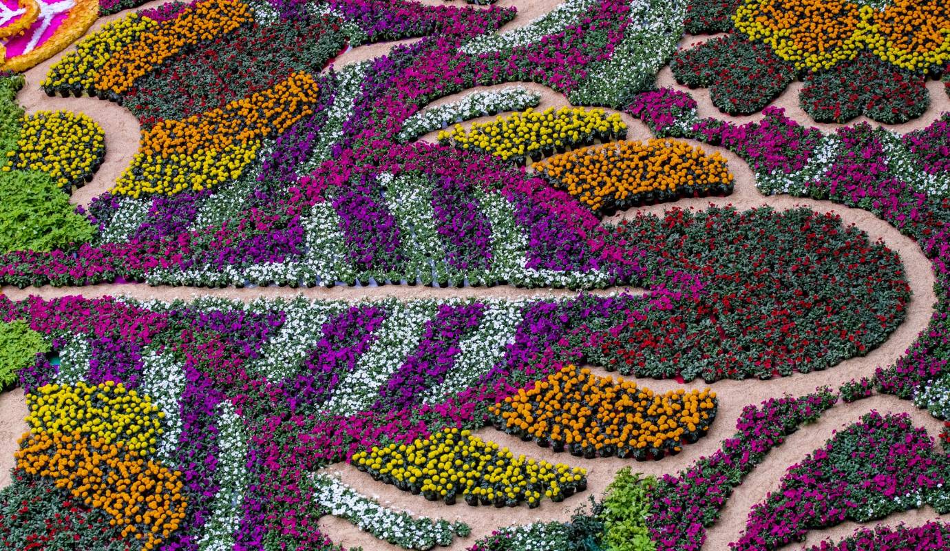 María Fernanda señala que con los loros, que son de metal y papel, se le rinde homenaje a las personas que “abrigan y dejan huella en nosotros, que con abrigan con sus alas y nos tocan los corazones”. Foto: Jaime Pérez