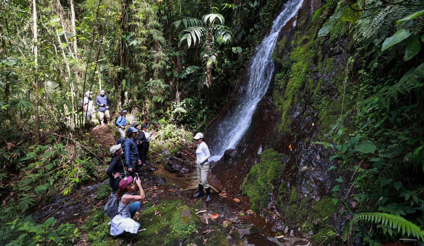 Abraham Serna, un tamesino de nacimiento y corazón, nunca pensó que sus tierras, dedicadas al pastoreo de ganado, se convertirían en una reserva natural, cuyos bosques albergarían a más de 120 aves, 21 mamíferos y alrededor de 154 plantas. Foto: Manuel Saldarriaga Quintero.