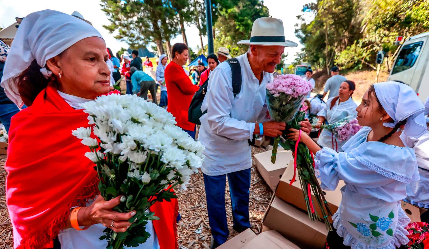 Este evento, que sirve como la antesala más auténtica al Desfile de Silleteros, es un ritual ancestral donde el canje de flores se entrelaza con el intercambio de saberes, historias y el profundo orgullo de ser silletero. Foto: Manuel Saldarriaga Quintero