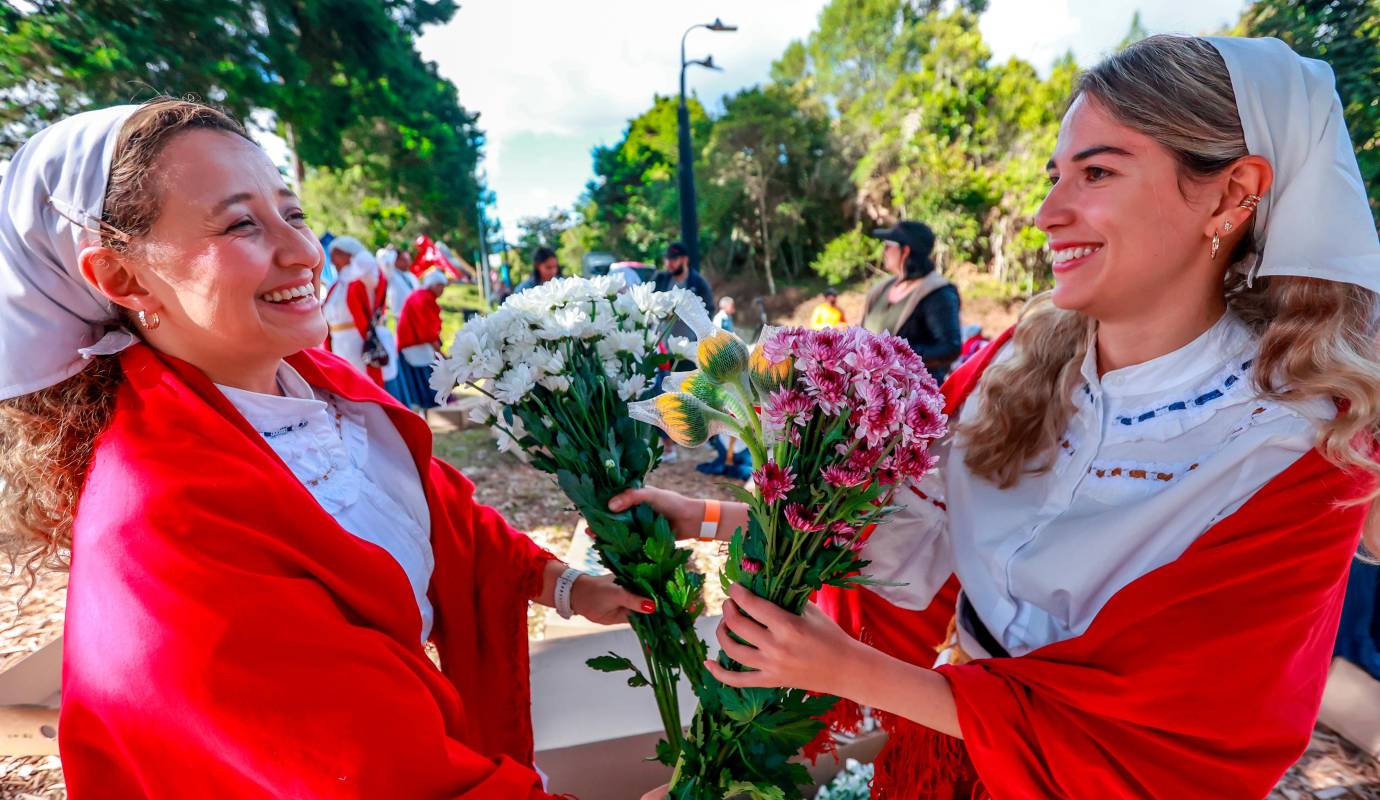 En Santa Elena, cada año, el Trueque de Flores nos recuerda que la verdadera esencia de la Feria no está en el desfile final, sino en el cuidadoso y emotivo proceso que lo antecede, en la manos de quienes dedican su vida a cultivar la belleza y a celebrar la tradición. Foto: Manuel Saldarriaga Quintero