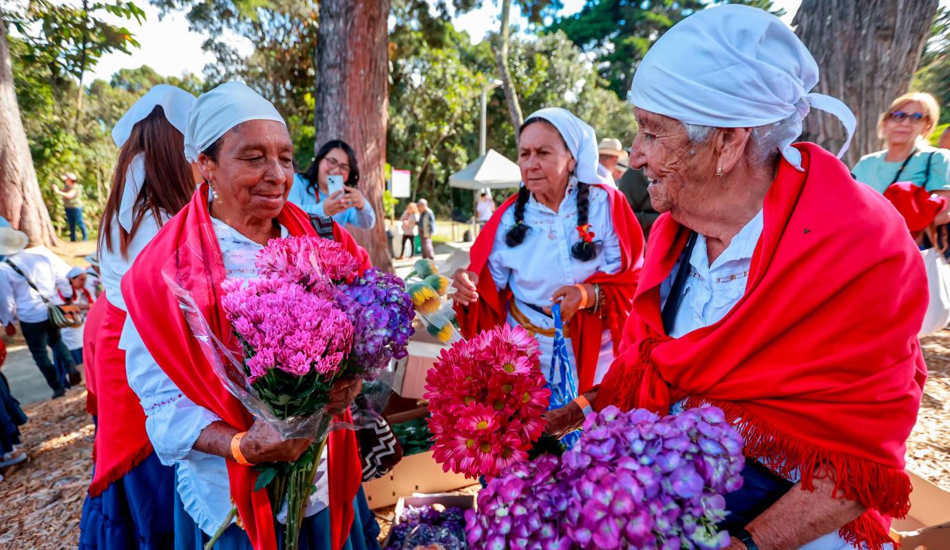 La escena es conmovedora: silleteros de todas las edades, desde los más experimentados hasta los jóvenes aprendices, se mueven entre montones de flores de todos los colores y especies. Foto: Manuel Saldarriaga Quintero
