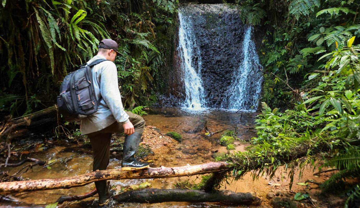 Los resultados ecológicos que se logran mediante esta figura son representados en créditos o unidades de biodiversidad, áreas de aproximadamente 10 metros cuadrados de ecosistemas preservados y/o restaurados que se gestionan técnica, financiera y jurídicamente durante 30 años, con resultados medibles. Es decir, las empresas pagan por esas ganancias ambientales. Foto: Manuel Saldarriaga Quintero.