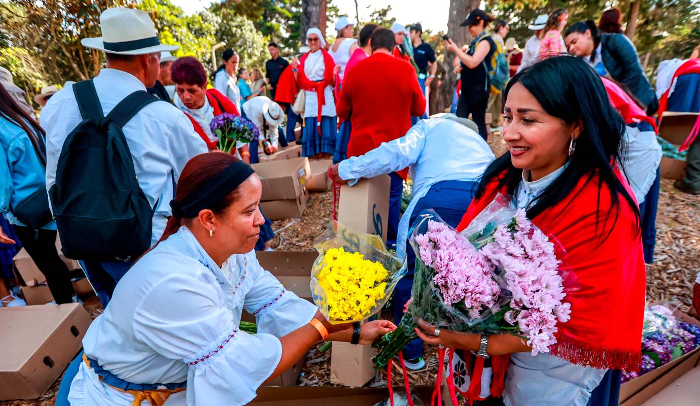 Es un momento de pura creatividad e inspiración, donde se forjan alianzas y se tejen las obras de arte que, en pocos días, asombrarán al mundo. Foto: Manuel Saldarriaga Quintero
