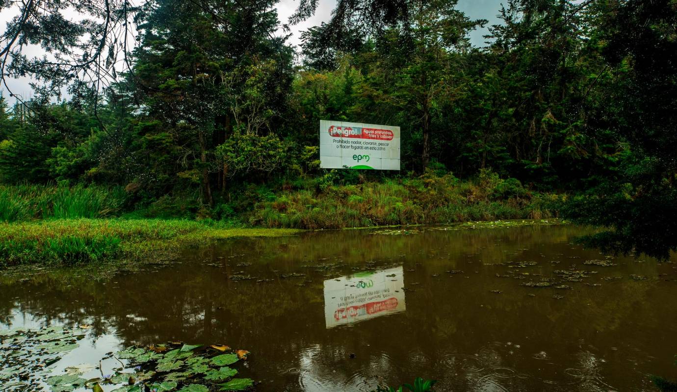 El humedal se está muriendo, o mejor, lo están dejando morir. Es tal su importancia que en 2001 el Concejo de Rionegro declaró el embalse Abreo-Malpaso como un ecoparque. Foto: Camilo Suárez Echeverry