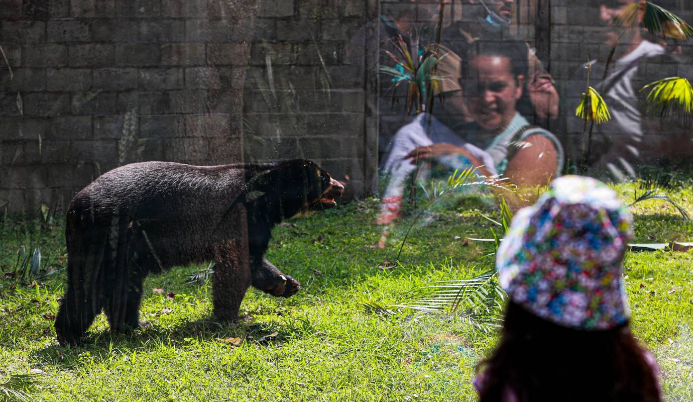 Este espacio no solo representa un avance en términos de infraestructura, sino que también resalta el papel fundamental del Parque en la educación ambiental. Foto: Manuel Saldarriaga Quintero. 