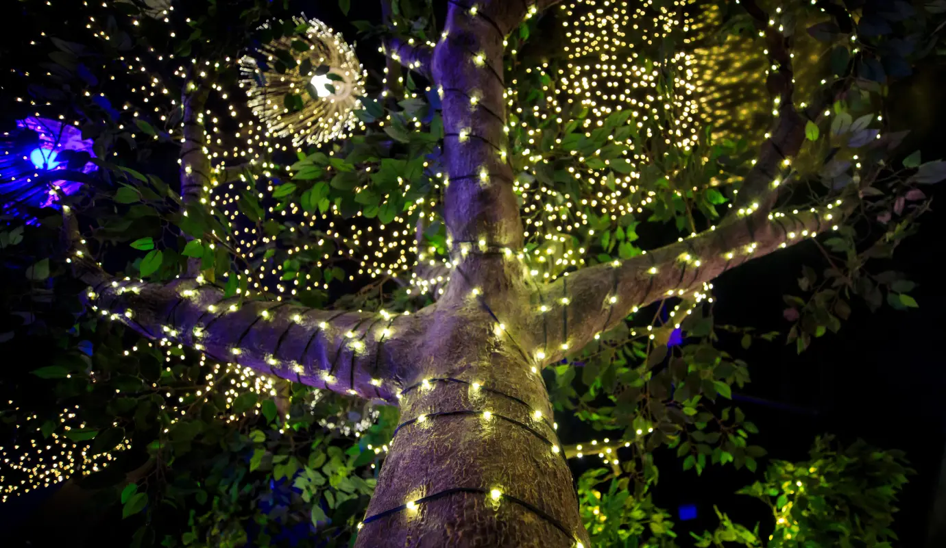 El Tesoro, Parque Comercial. Los centros comerciales de Medellín y el Valle de Aburrá han asumido un papel protagonista, transformándose en verdaderos templos de luz, color y actividad, ampliando la oferta de entretenimiento festivo para quienes buscan disfrutar de un ambiente seguro, cómodo y completamente inmersivo. Foto: Camilo Suárez Echeverry