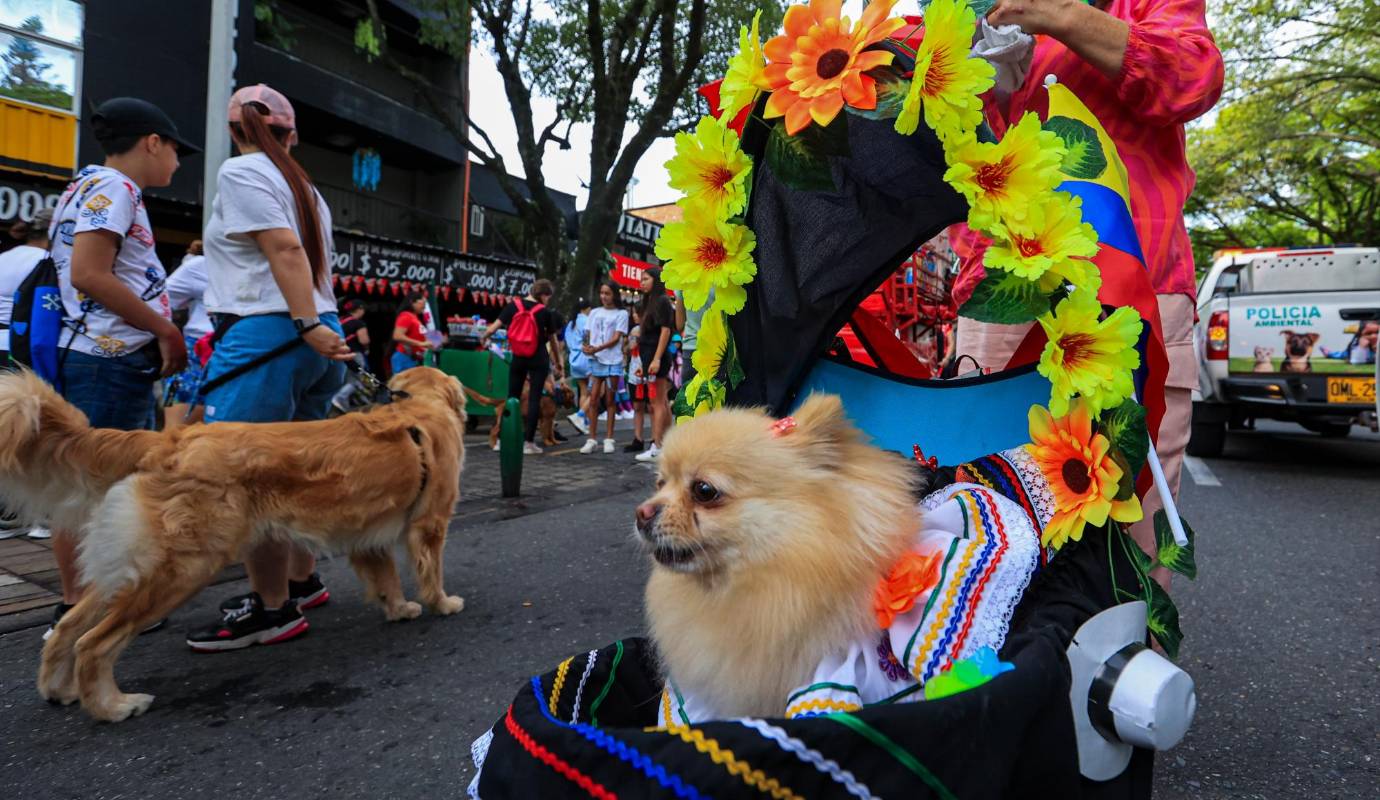 El propósito del evento es generar conciencia en los antioqueños sobre el cuidado y la protección de los animales tanto domésticos como silvestres. Foto: Manuel Saldarriaga Quintero