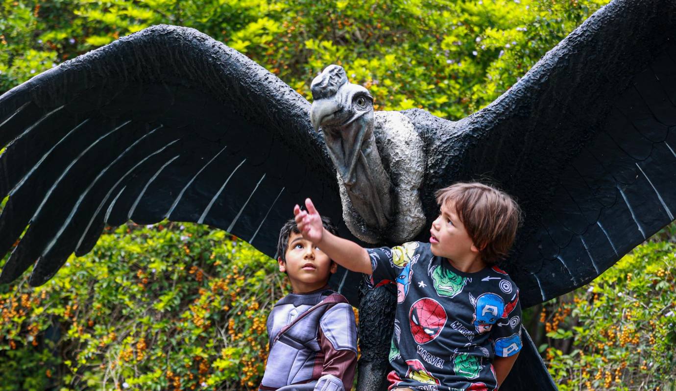 Esta iniciativa demuestra que la educación ambiental puede ser divertida y efectiva. Foto: Manuel Saldarriaga Quintero.