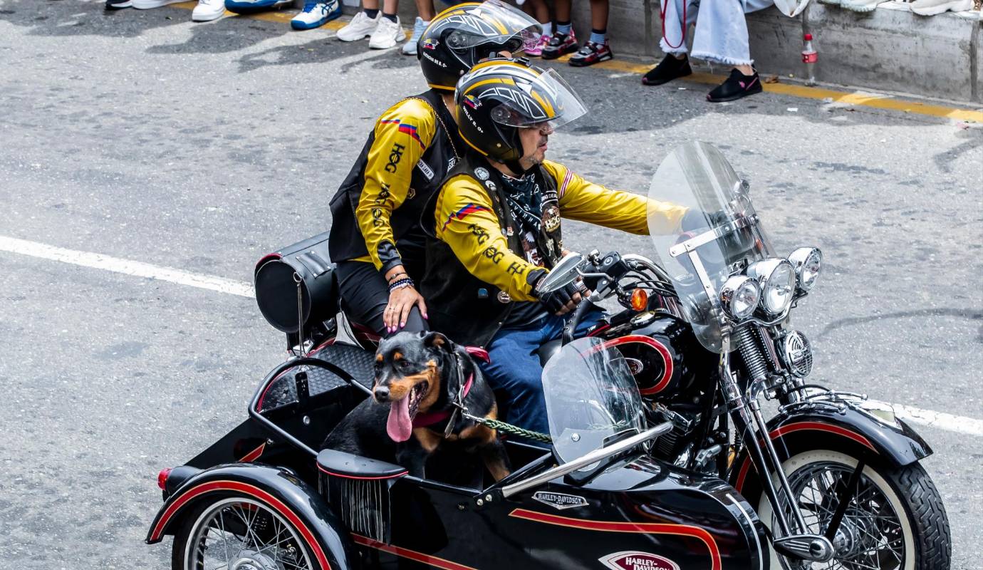 Hasta las mascotas estuvieron su espacio en el desfile. FOTO: Jaime Pérez