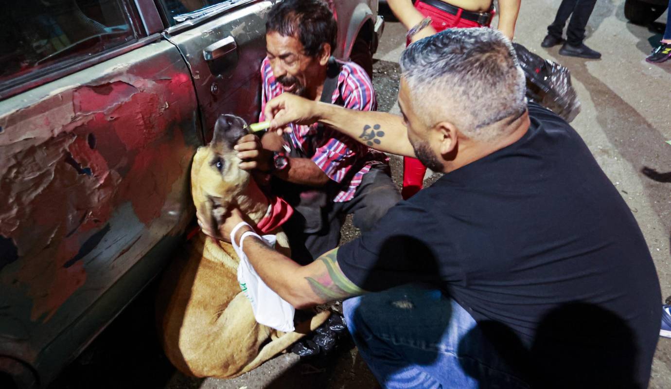 Con el pasar del tiempo la confianza se fortaleció con los dueños de las mascotas y la fundación pudo brindar atención médica y procedimientos necesarios, como la esterilización, para mejorar la calidad de vida de los animales y controlar la población callejera de forma responsable. Foto: Manuel Saldarriaga Quintero.