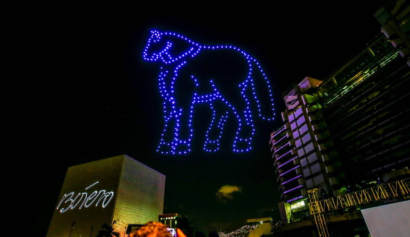 Además de ser un atractivo turístico, el alumbrado navideño genera un importante impacto económico en la ciudad. Foto: Camilo Suárez