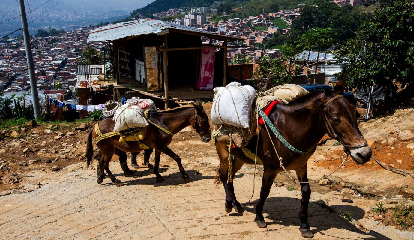 Este contraste entre lo urbano y lo rural refleja una realidad compleja: mientras las grandes ciudades se expanden rápidamente, en lugares como Nuevo Jerusalén, el crecimiento sigue dependiendo de la voluntad de sus habitantes y de los medios más tradicionales. Sin embargo, a pesar de las dificultades, la comunidad ha demostrado una capacidad increíble para adaptarse y seguir avanzando. Foto: Julio César Herrera